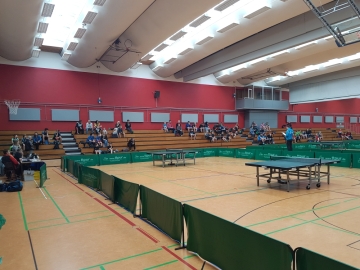 TTRV_RIM2018_DHSJ_01